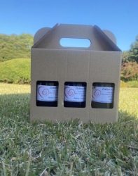 Doktor Kombucha 3x 500 ml - Malina