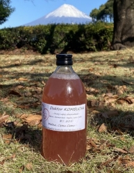 Doktor Kombucha 500 ml - Malina