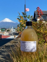 Doktor Kombucha 500 ml  - Medová
